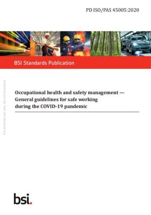 ISO 45005 General guidelines for safe working during the COVID 19 pandemic