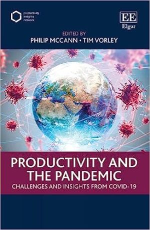 Productivity and the Pandemic Challenges and Insights from Covid 19