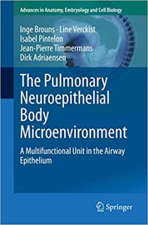 The Pulmonary Neuroepithelial Body Microenvironment A Multifunctional Unit in the Airway Epithelium