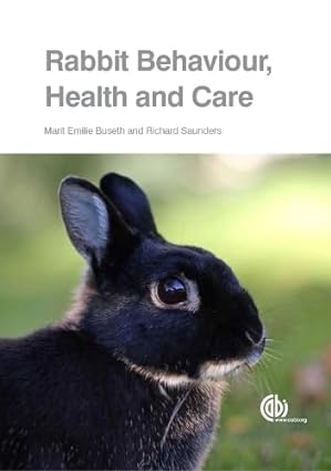 Rabbit Behaviour Health and Care