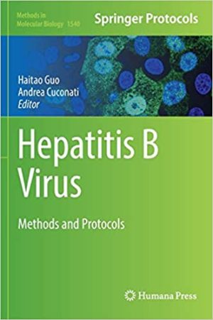Hepatitis B Virus Methods and Protocols