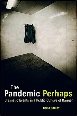 The Pandemic Perhaps Dramatic Events in a Public Culture of Danger