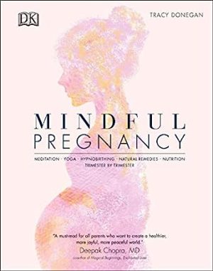 Mindful Pregnancy Meditation Yoga Hypnobirthing Natural Remedies and Nutrition