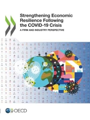 Strengthening Economic Resilience Following the COVID 19 Crisis A Firm and Industry Perspective