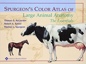 Spurgeons Color Atlas of Large Animal Anatomy The Essentials