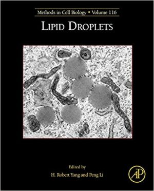 Lipid Droplets