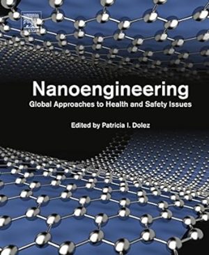 Nanoengineering Global Approaches to Health and Safety Issues