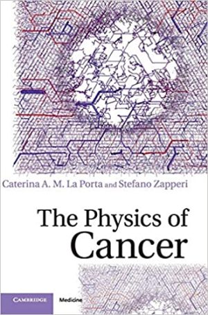 The Physics of Cancer