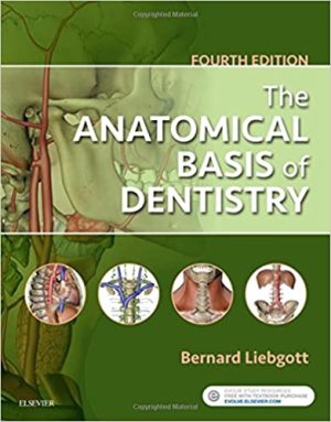 The Anatomical Basis Of Dentistry 4th Ed