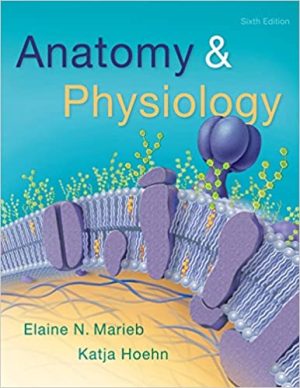 Anatomy & Physiology 6th Edition By Elaine N Marieb