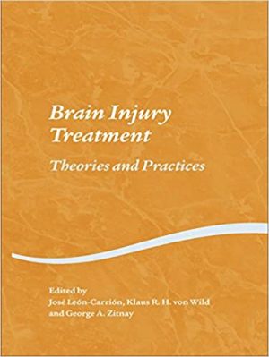 Brain Injury Treatment Theories and Practices
