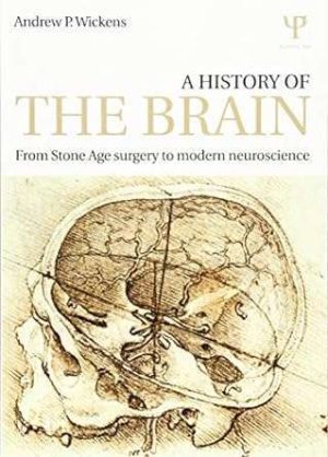 A History of the Brain From Stone Age Surgery To Modern Neuroscience