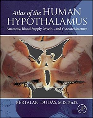 Atlas of the Human Hypothalamus Anatomy Blood Supply Myelo and Cytoarchitecture