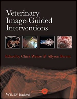 Veterinary Image Guided Interventions