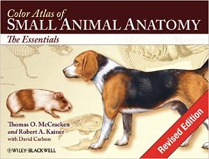 Color Atlas of Small Animal Anatomy The Essentials