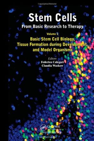 Stem Cells From Basic Research to Therapy Volume 1 Basic Stem Cell Biology Tissue Formation during Development and Model Organisms