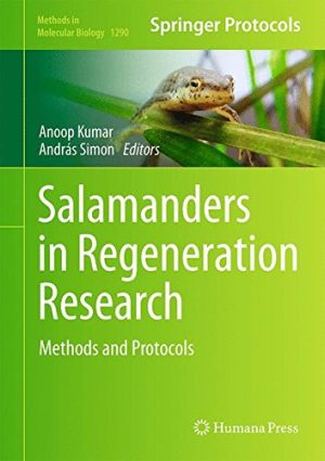 Salamanders in Regeneration Research Methods and Protocols