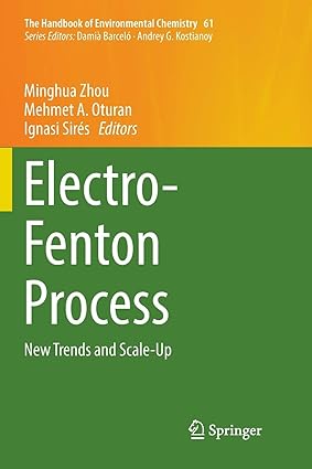 Electro Fenton Process New Trends and Scale Up