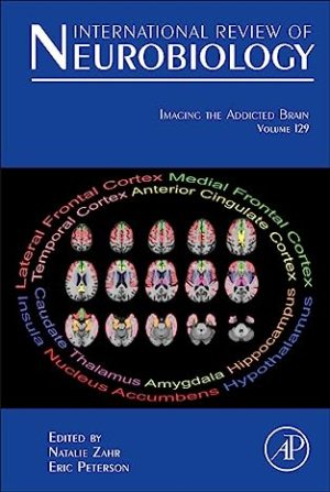 Imaging the Addicted Brain