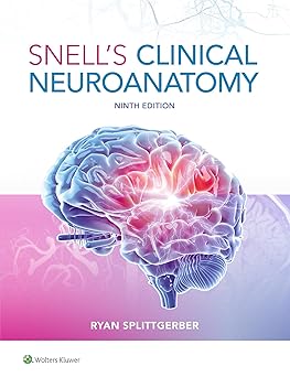 Snells Clinical Neuroanatomy 9th Edition