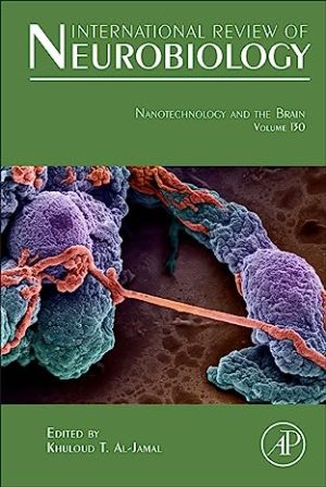 Nanotechnology and the Brain