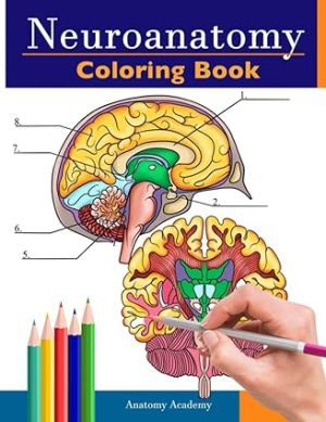 Neuroanatomy Coloring Book