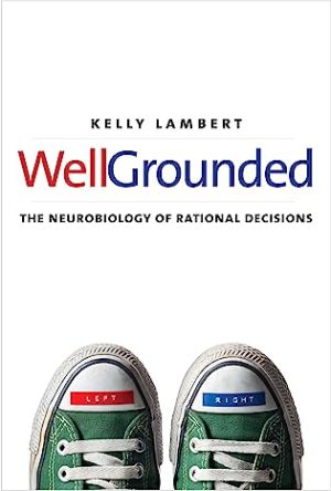 WellGrounded The Neurobiology of Rational Decisions