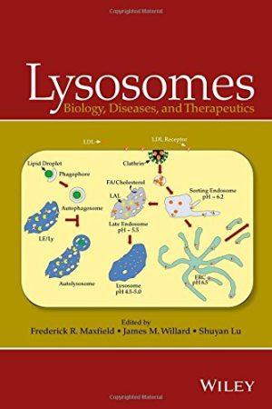 Lysosomes Biology Diseases and Therapeutics