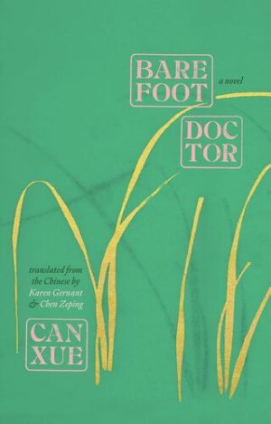 Barefoot Doctor A Novel