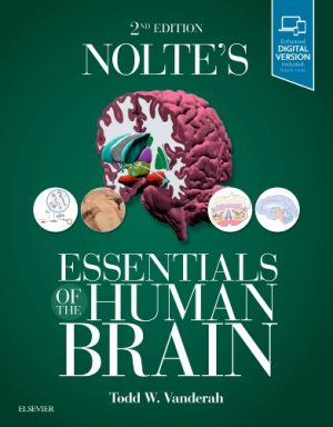 Noltes Essentials of the Human Brain 2nd Edition