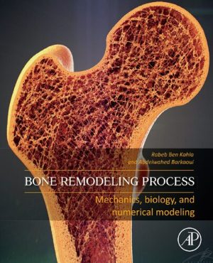 Bone Remodeling Process Mechanics Biology and Numerical Modeling