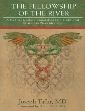The Fellowship of the River A Medical Doctors Exploration into Traditional Amazonian Plant Medicine