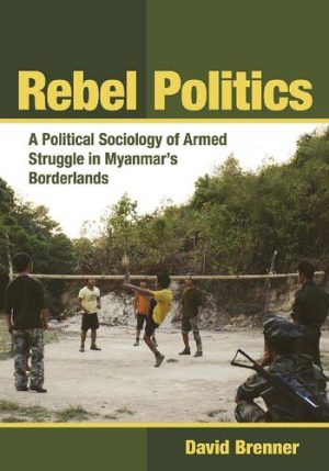 Rebel Politics A Political Sociology of Armed Struggle in Myanmar s Borderlands