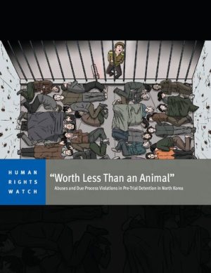 Worth less than an animal  abuses and due process violations in pretrial detention in North Korea