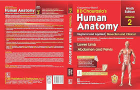 BD Chaurasias Human Anatomy 9th Edition Volume 2 Regional and Applied Dissection and Clinical Lower Limb Abdomen and Pelvis