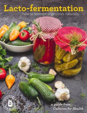 Lacto Fermentation How to Ferment Vegetables Naturally