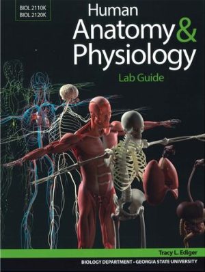 Human Anatomy & Physiology Lab Guide
