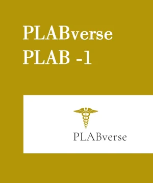 PLABVERSE PLAB-1