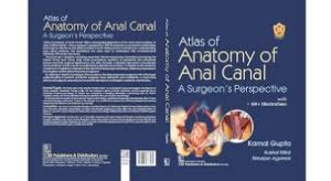 Atlas of Anatomy of Anal Canal A Surgeons Perspective